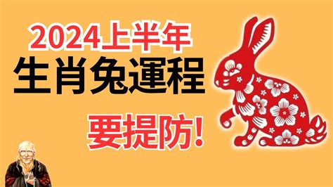 兔年運程 2024|2024生肖兔整年運勢一次看！多注意健康、主動做一。